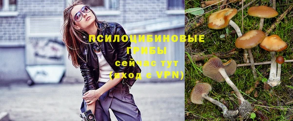 мдма Новозыбков