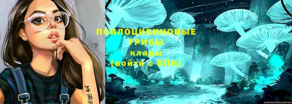 прущая мука Баксан